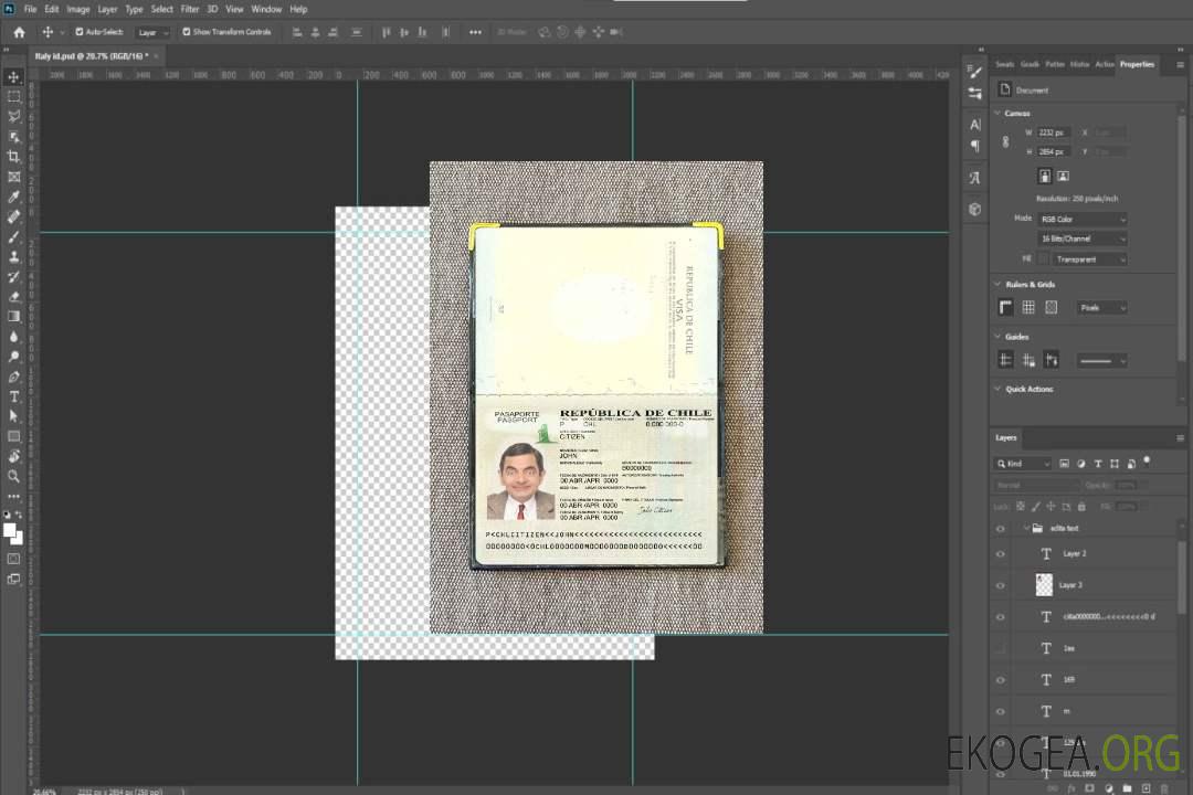 Look photo du passeport chilien version 2 template Look photo du passeport chilien version 2 template